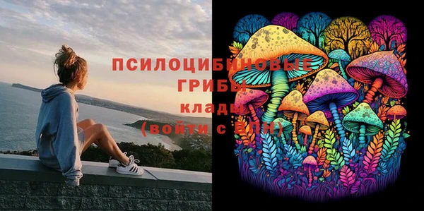 молекула духа Белокуриха