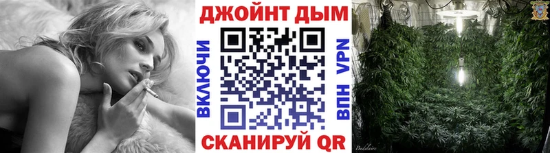 как найти   Кирсанов  Марихуана семена 